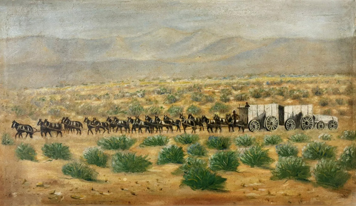 20 mule team